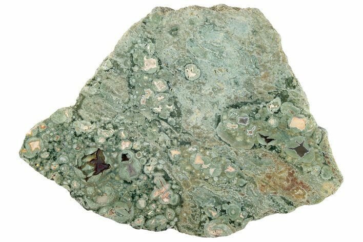 Polished Rainforest Jasper (Rhyolite) Slab - Australia #221932